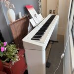 Casio PX-S1100 in store at August Muse