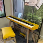 Casio PX-S7000 Mustard color in store at August Muse