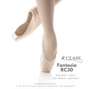 R-Class RC3 - Fantasia Series (Copy)